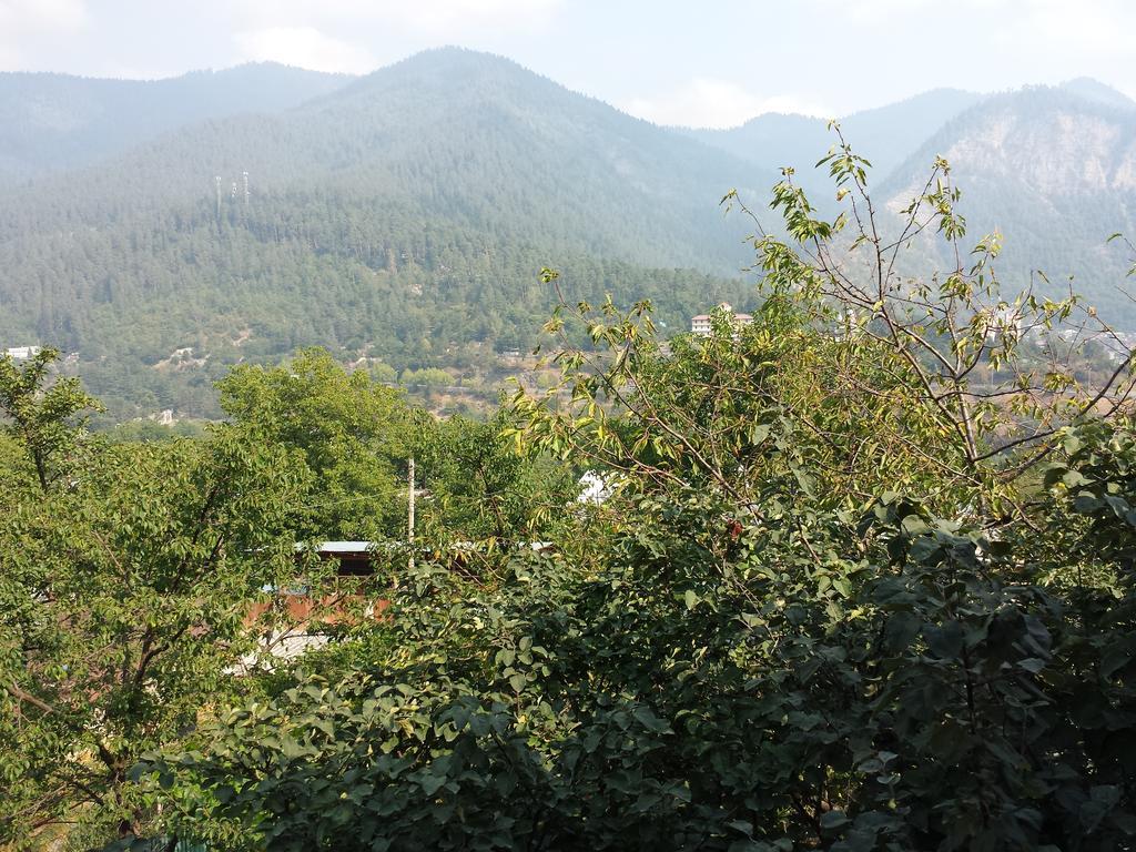 Bacho,S Cottage Borjomi Bagian luar foto
