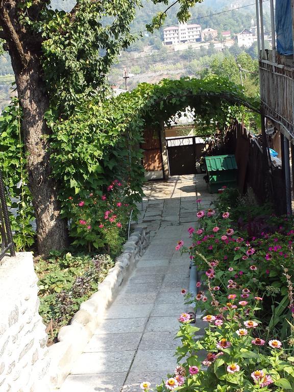 Bacho,S Cottage Borjomi Bagian luar foto