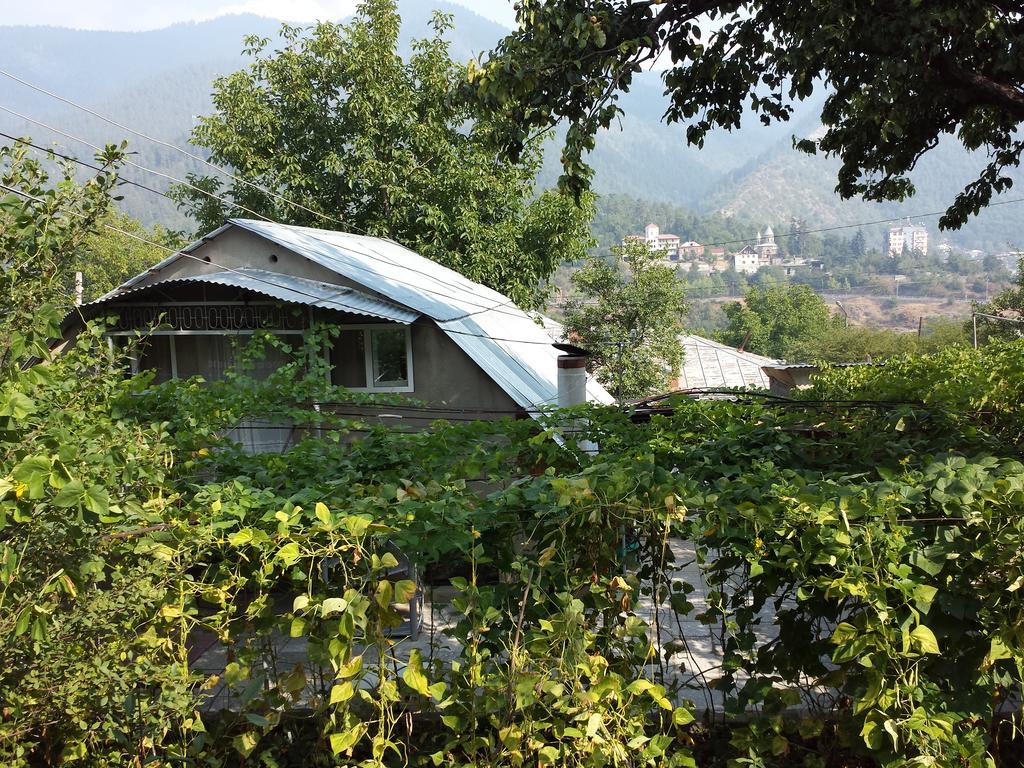 Bacho,S Cottage Borjomi Bagian luar foto